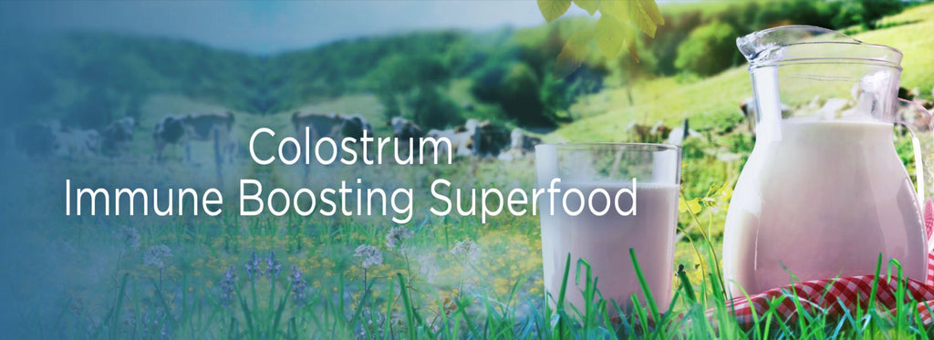 colostrum immune boost superfood