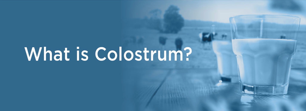 what is colostrum
