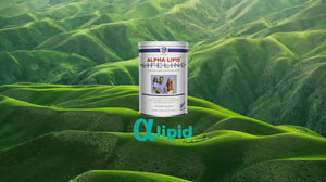 alipid-alpha-lipid-slideshow
