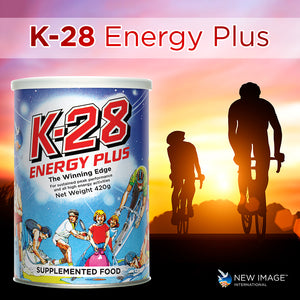 K28 Energy Plus xccscss.